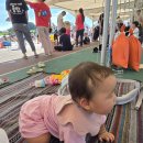 조치원_신흥리_조치원중학교 앞 | 세종조치원복숭아축제 주차 키즈워터밤 세종여행 아이랑갈만한곳