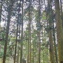 타키 - 관악구 신림로 303 | 타키