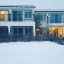 올리브낭 이미지