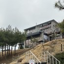 227 | 진천 충북혁신도시 분위기 좋은 베이커리 카페 더힐227 후기