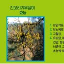 명가건강원 - 전주시 완산구 거마평로 139 | 명가건강원
