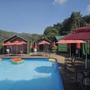 숲속의펜션 이미지