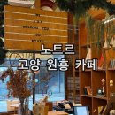 도래마을 입구 | 고양 원흥 이케아 서오릉 근처 감성 카페 노트르 방문 후기 케이크 도래울마을 취향저격 맛집