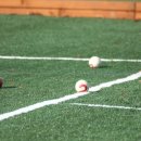 단대게이트볼장 이미지