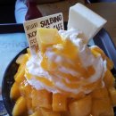 설빙홍성점 네이버블로그