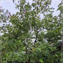 뚝섬한강공원-63 이미지