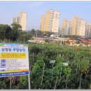 근화농장 이미지