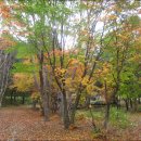 방동약수 이미지