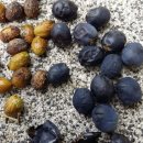 가창초등학교 이미지