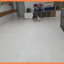 바우밸리 이미지