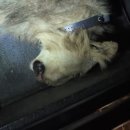 호왕농장 이미지