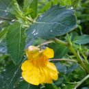 논개생가지 이미지