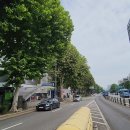 보령약국 이미지