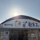 박사마을 | 춘천 박사마을 곰핫도그 내돈내산 솔직후기