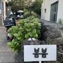 봄봄스테이 이미지