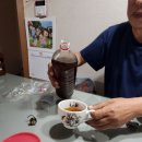 아이고~관절이야 활맥 모과주 이미지