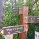 대불공원 좌측 이미지