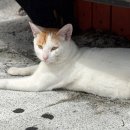 이산부인과의원 네이버블로그