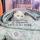 백야학원 이미지