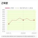 서현다이어트 쥬비스다이어트가격 1주차 쥬비스후기