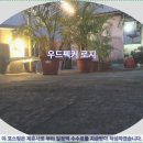 로지호텔 | 쿠칭 여행객 필독! 우드펙커 로지 호텔 추천 &amp; 솔직 후기