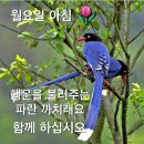 영아트 이미지