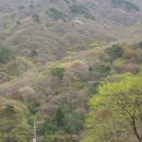 산빛농원