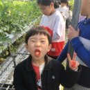 평산관 합기도 이미지