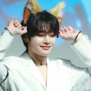 스테이형