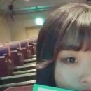 패션아트의 세계 : 보이는 것과 보이지 않는 것 이미지