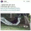 모리모리