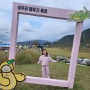 성주경찰서 공중화장실 | [성주 메뚜기축제]대구 근교 아이와 가볼만한곳