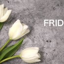 (주)케어풋솔루션 이미지