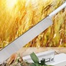 수동농장 이미지