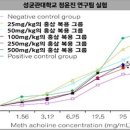 기관지염 증상에 좋은 음식 가장 뛰어난 것은 이미지