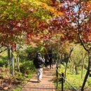 뿌리커피숍 - 북구 백양대로 1181 | 뿌리커피숍