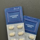 1329 | 유산균 추천 락토아닌 장 건강 영양제 리얼 후기