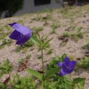 새소리민박 이미지