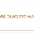 법무사사무소서광
