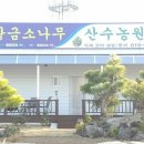 황금소나무농원 Daum카페