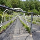 농업기술센터 화북상담소 이미지