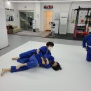 Dream of Judo 태평유도관 이미지