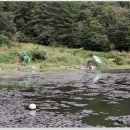 한평소류지 이미지