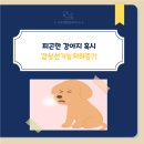기운찬 동물병원 | 피곤한 강아지, 혹시 갑상선 기능저하증?｜하남 기운찬동물병원