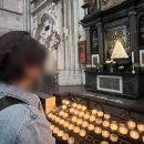 삼성영어안남학원 | [독일에서 임신] ① 4-6주 극초기 : 독일 임테기 클리어블루 Clearblue 정확도, 장점 : 독일 사보험...