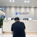 임산부 비문증 검사
