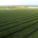 이병훈농장 이미지