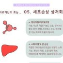 아르기닌 효능 및 복용법 여성 섭취 가능할까? 이미지