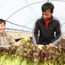 신전원일기 이미지