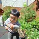 뽀뽀야어린이집 이미지